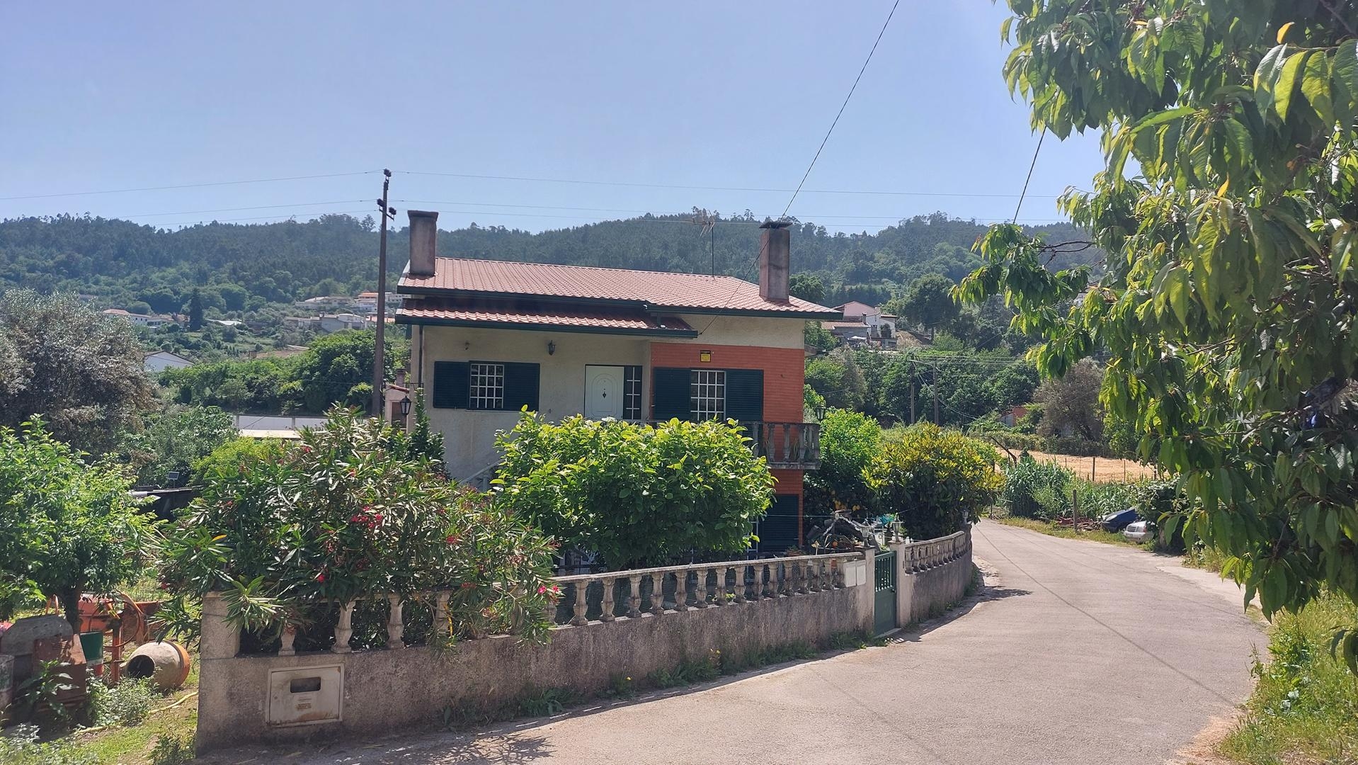Lote 1