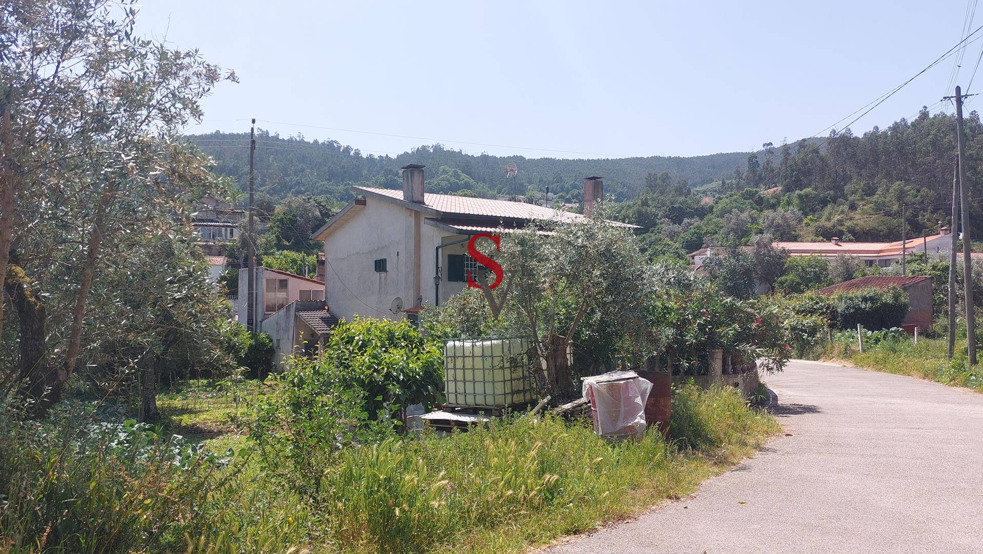Lote 1