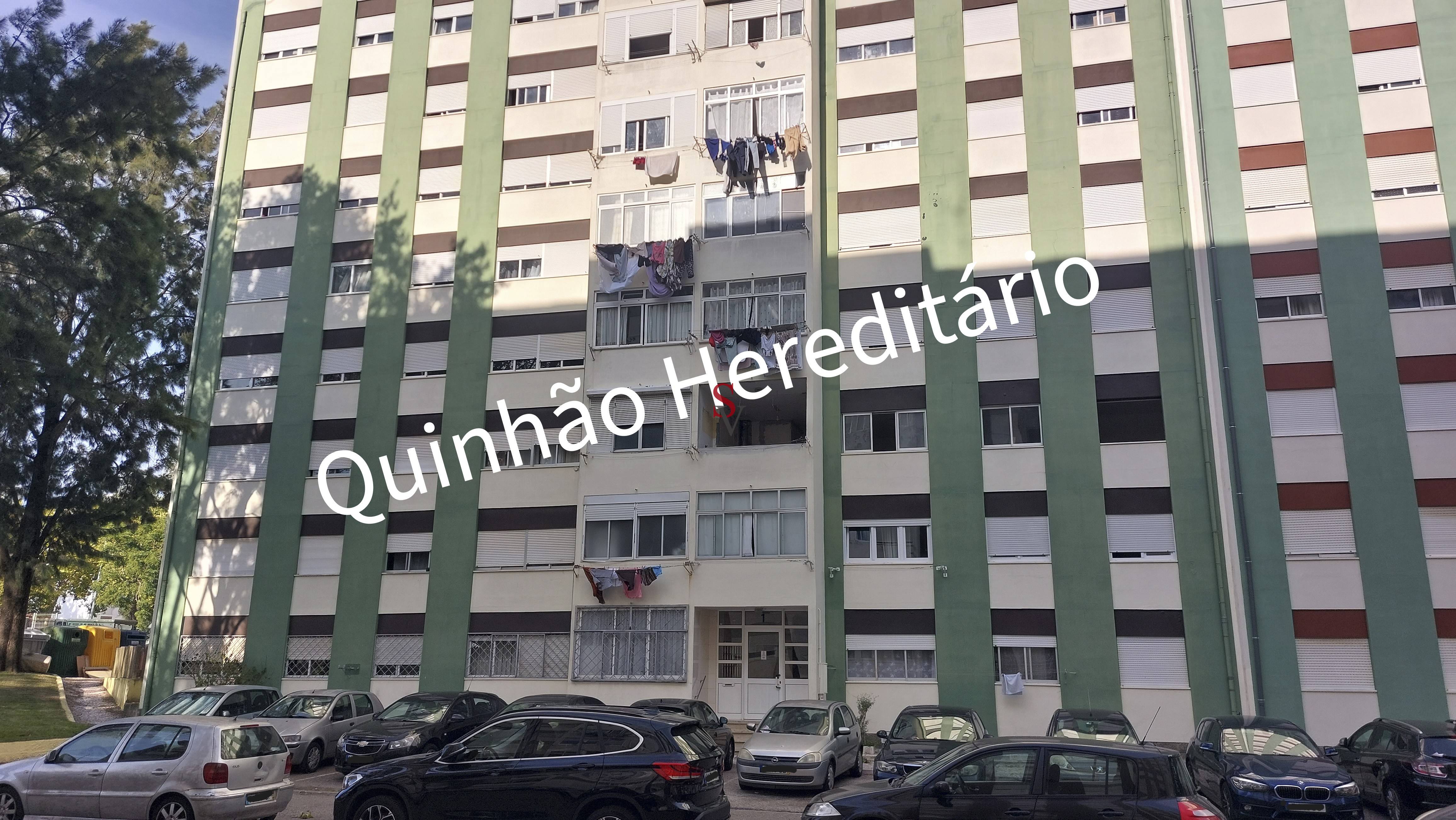 Lote 1 Lote 1