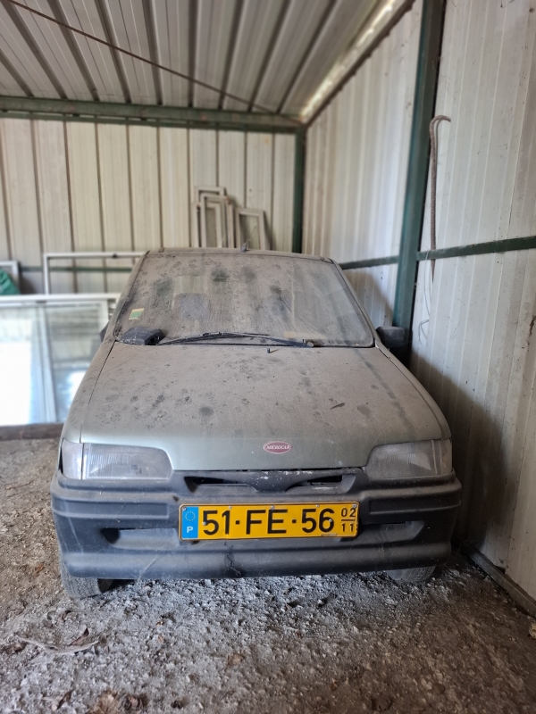 Lote 1