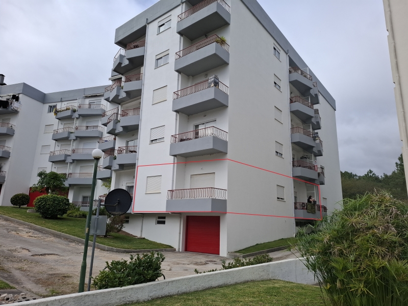 Lote 1