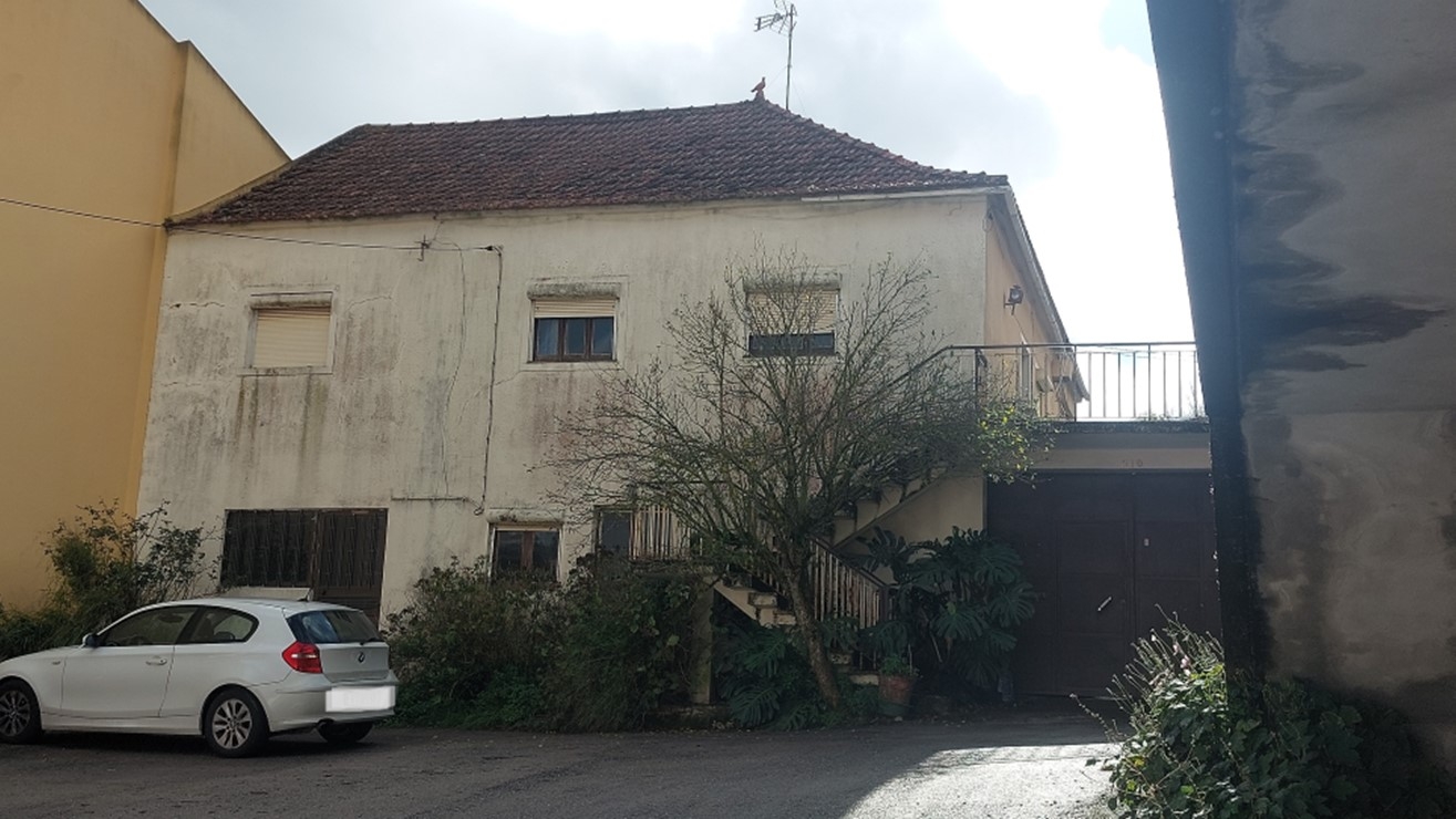 Lote 2