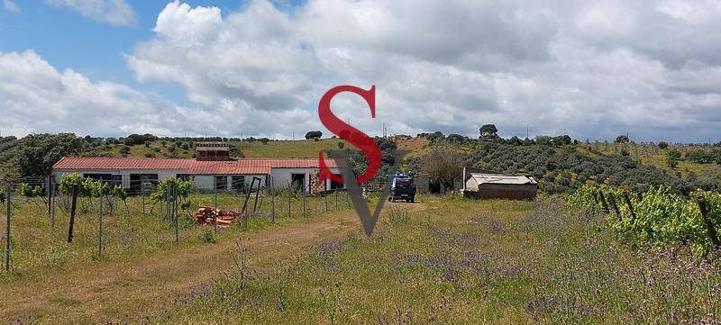 Lote 1