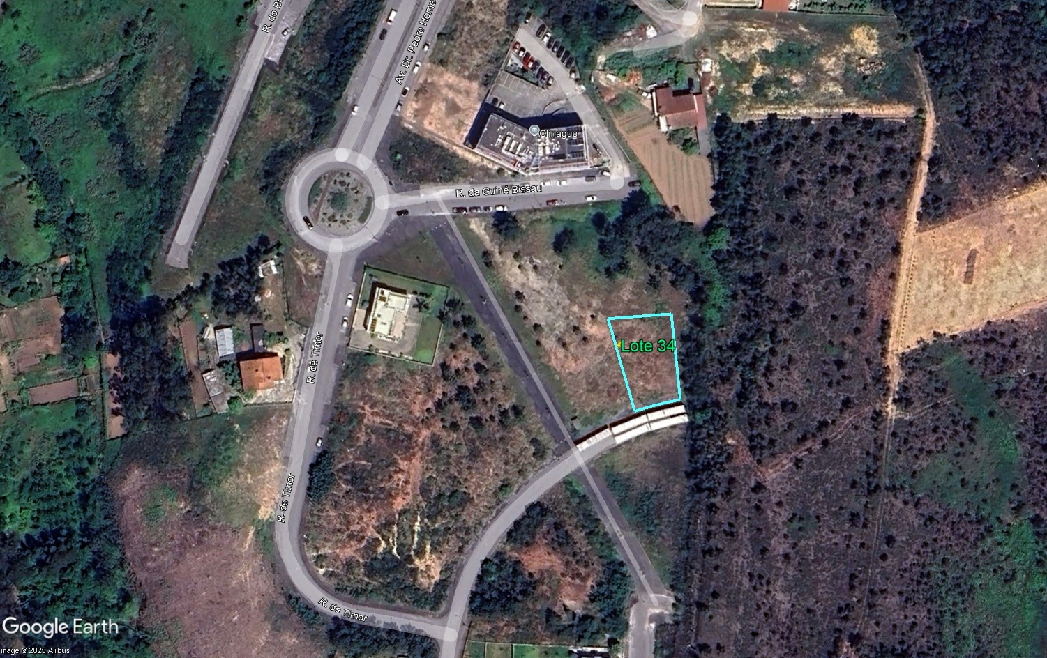 Lote 12