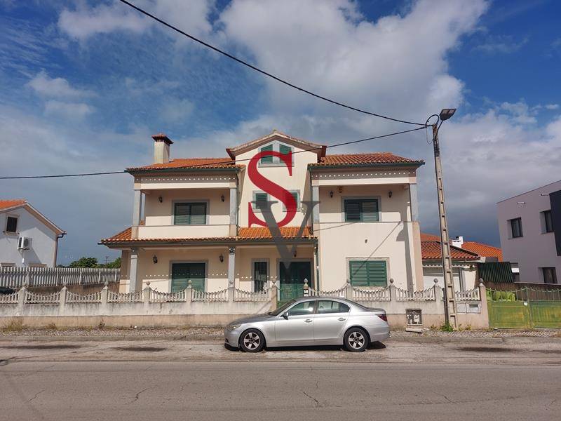 Lote 1