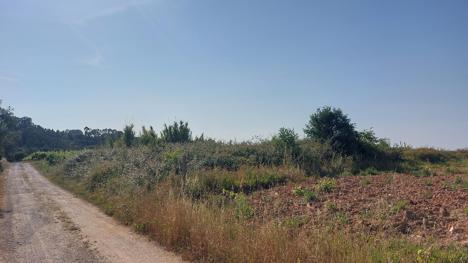 Lote 3