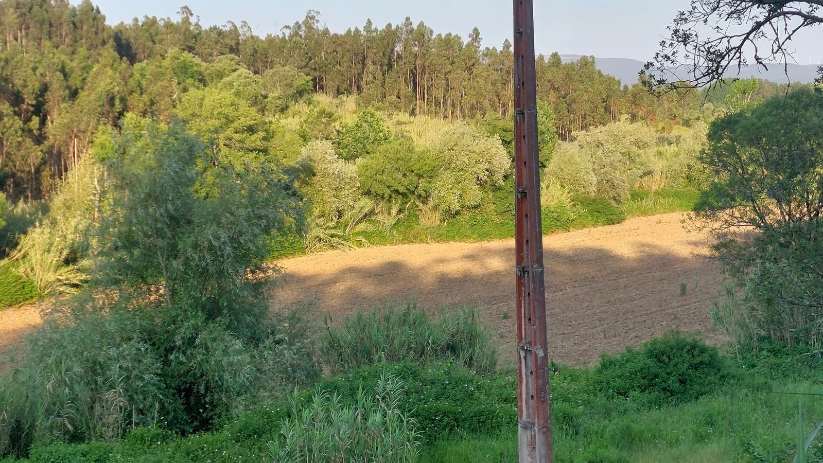 Lote 8