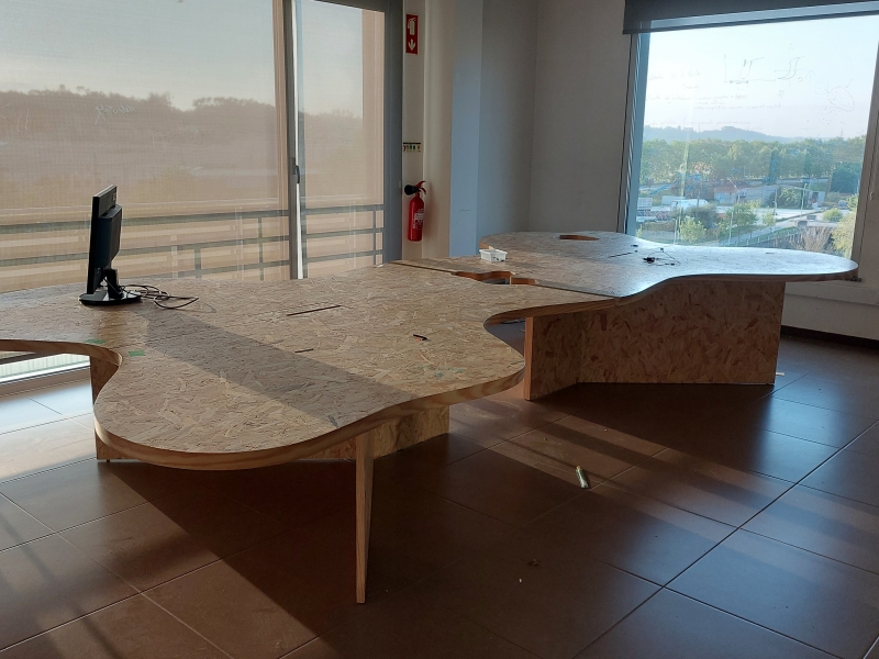 Lote 15