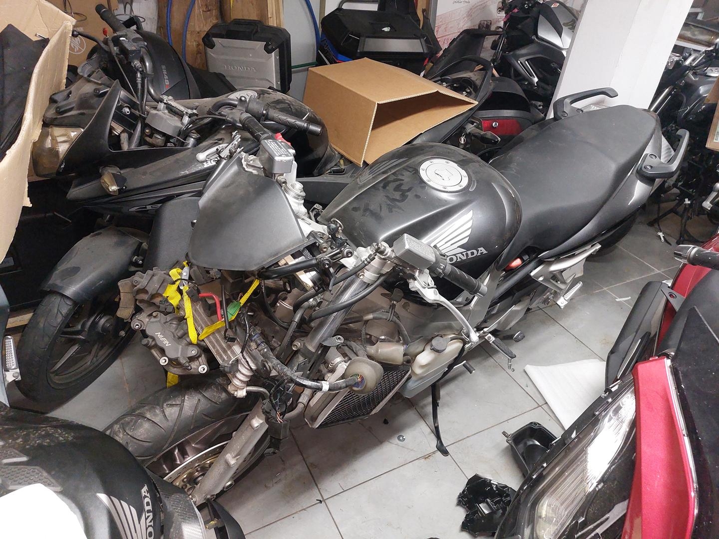 Lote 2