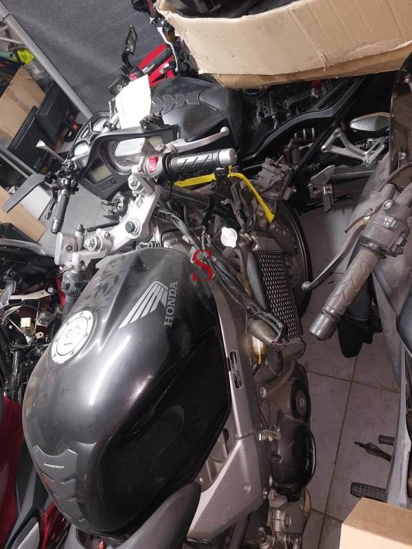 Lote 2