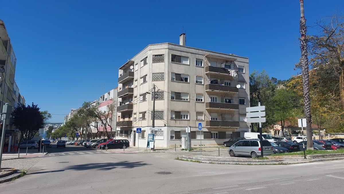 Lote 11