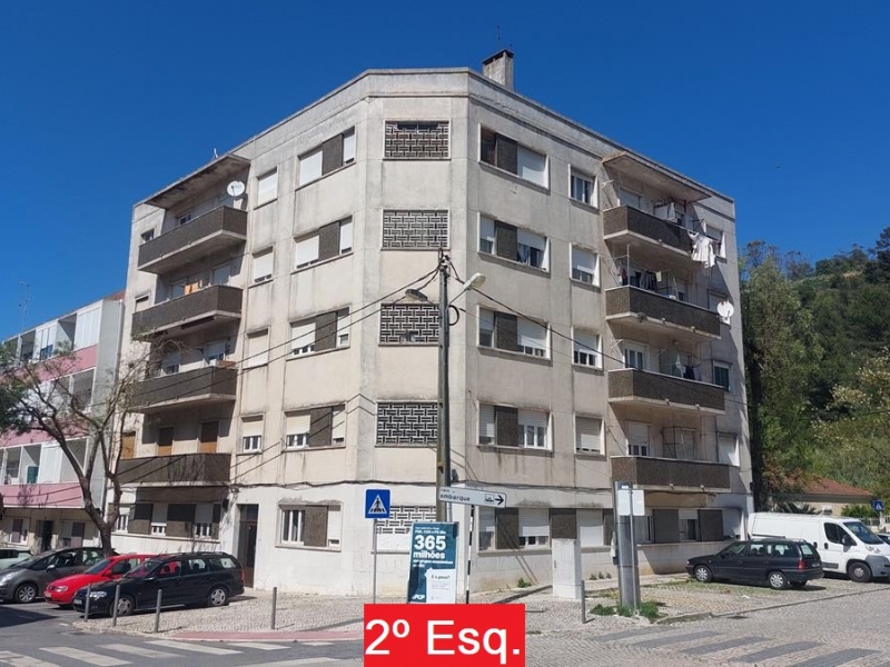 Lote 12