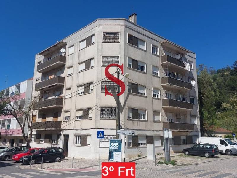 Lote 14