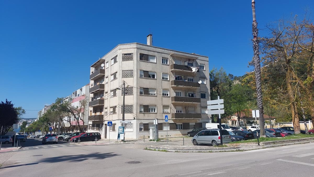 Lote 5