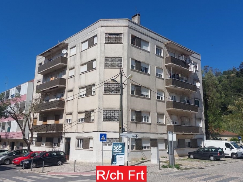 Lote 5