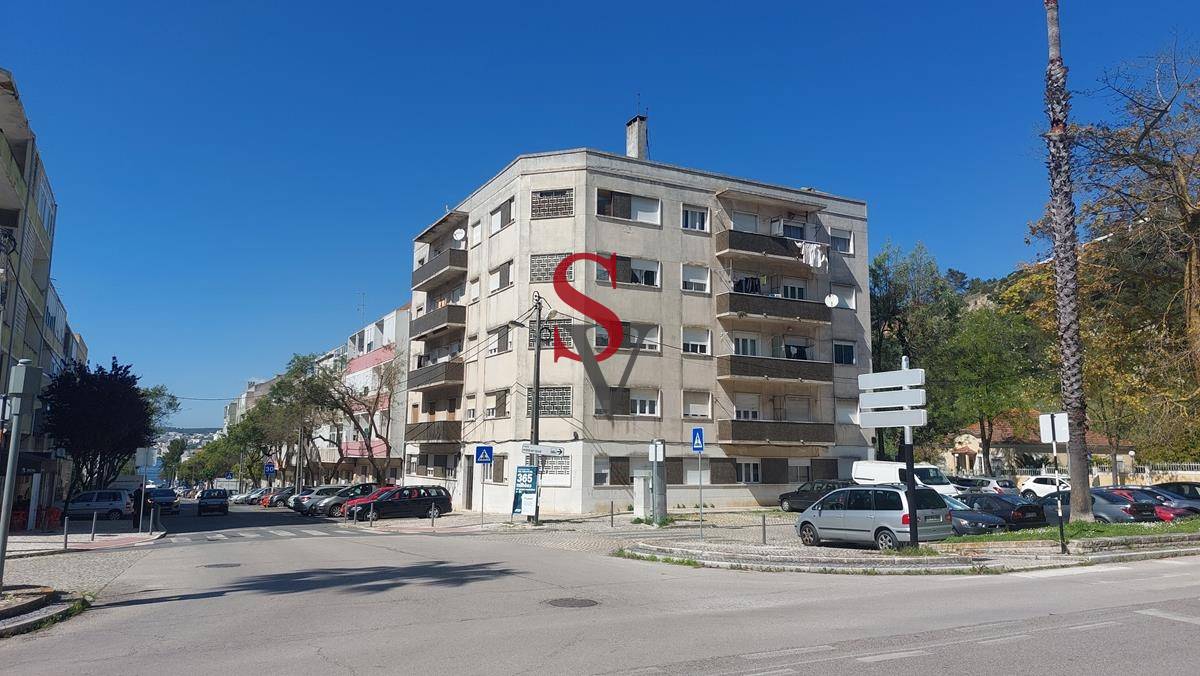 Lote 6