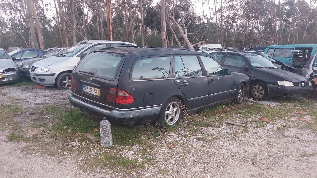 Lote 1 Lote 1