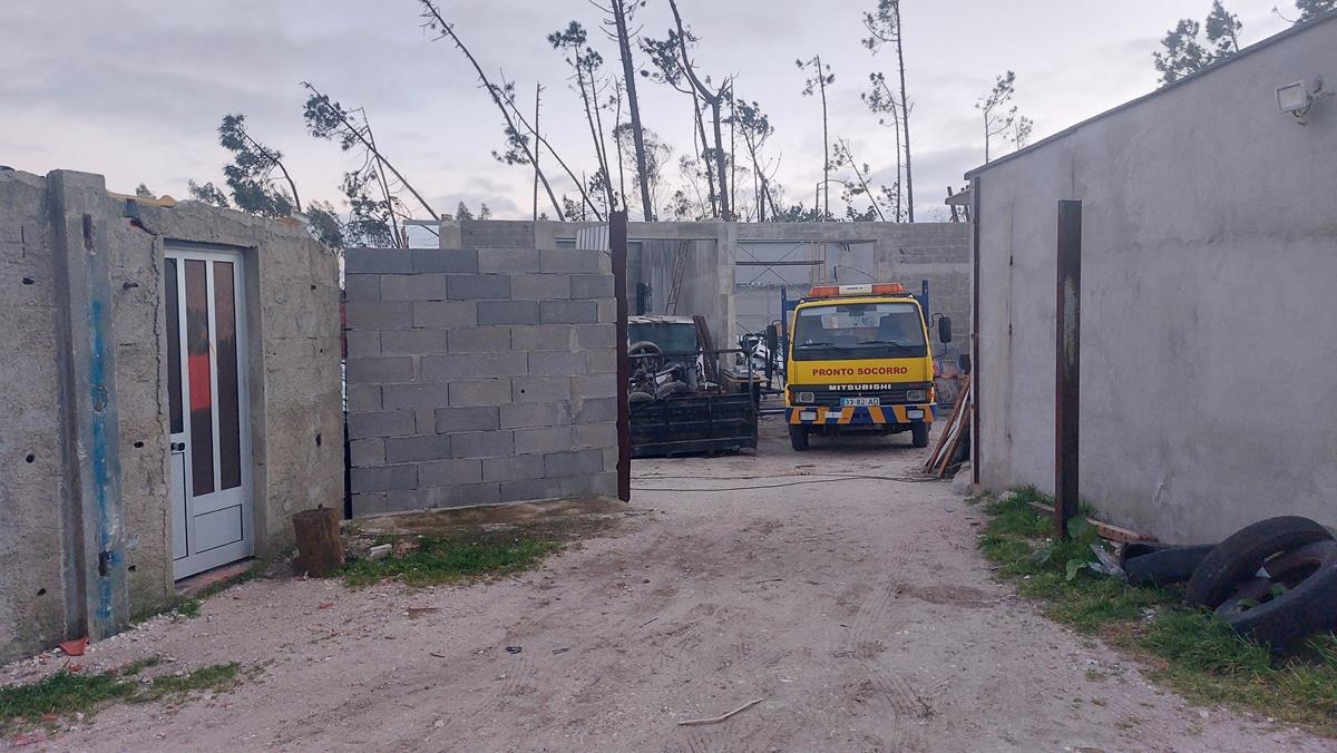 Lote 1 Lote 1