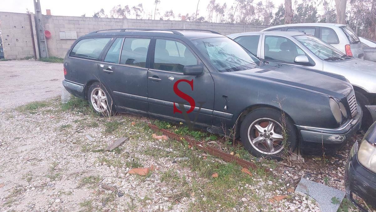 Lote 1