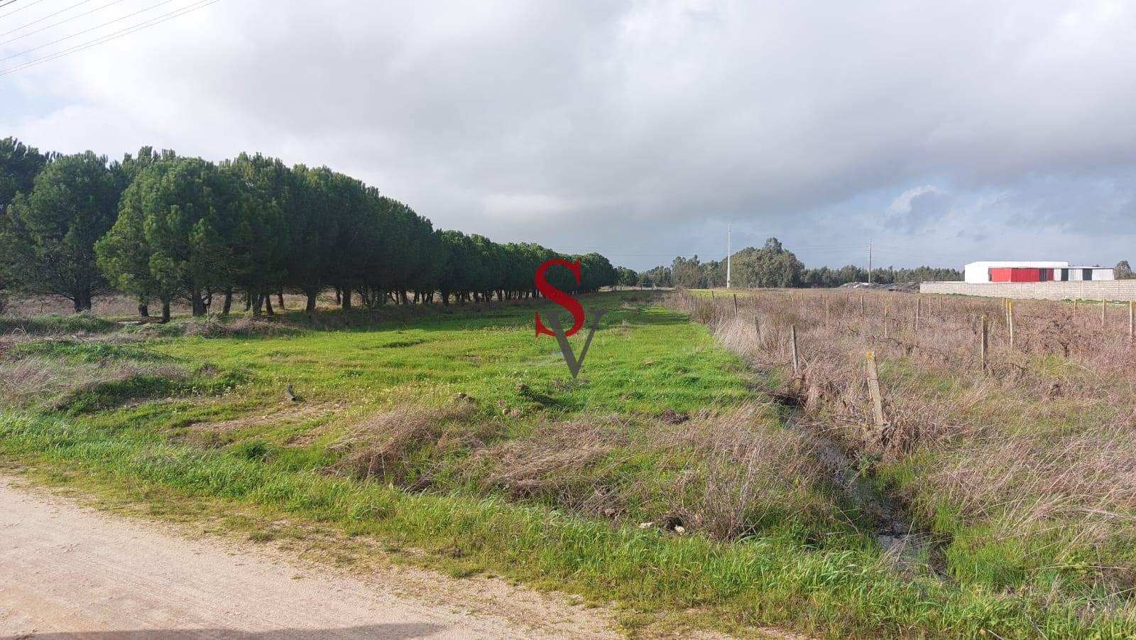 Lote 1