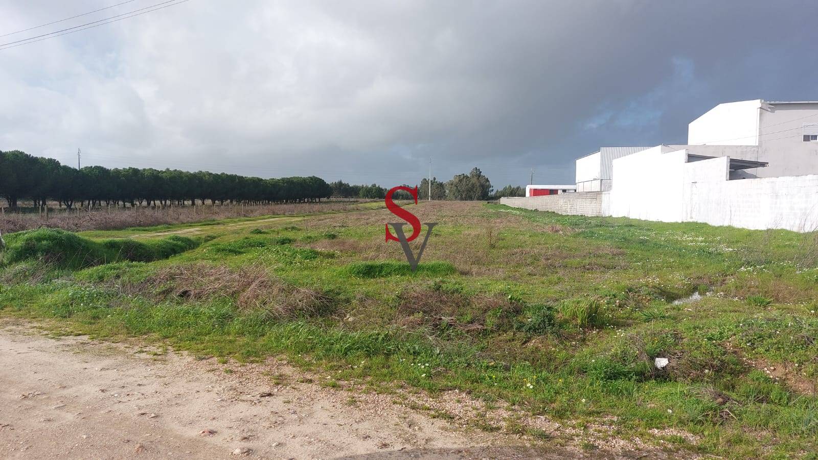 Lote 3 Lote 3